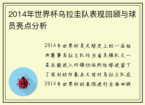 2014年世界杯乌拉圭队表现回顾与球员亮点分析